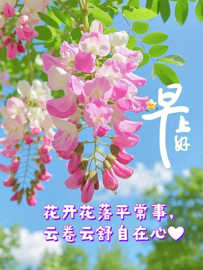 |凯发668k8真人娱乐简短精致的早安心语励志句子独一无二让
